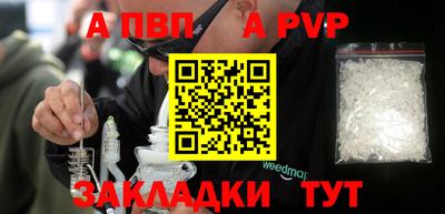 скорость Кингисепп